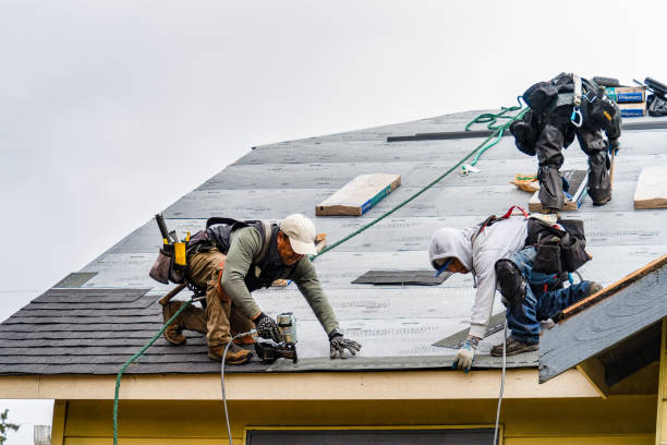 Professional Storm Damage Roof Repair technician working in Manchester, MI
